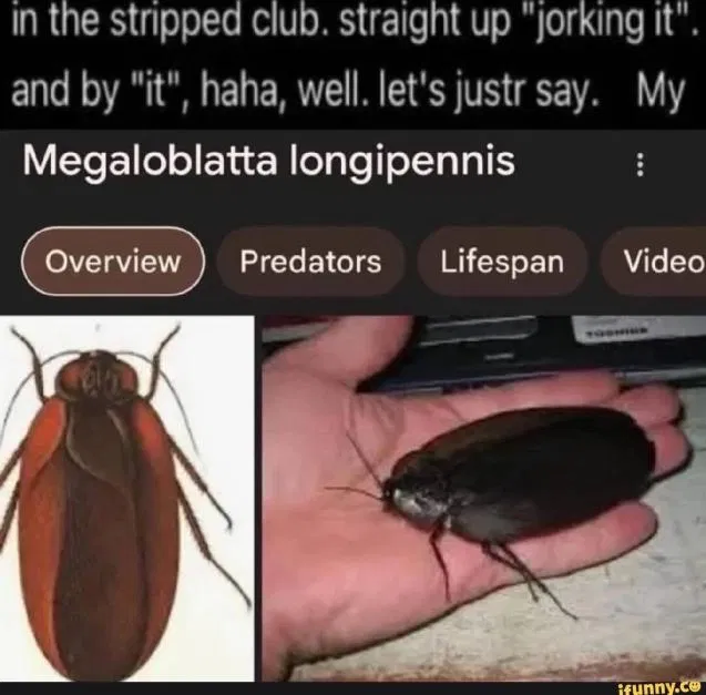 Avatar of Big fuckass cockroach