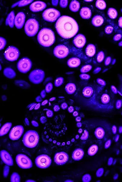 Avatar of Tentacles