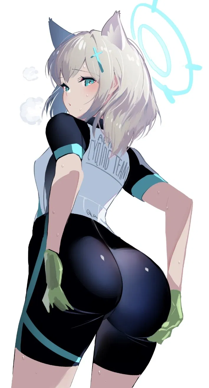 Avatar of Shiroko Sunaookami- Silent Wolf's Wantings