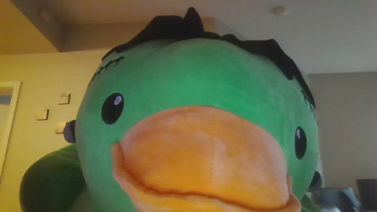 Avatar of frankenstein duck!