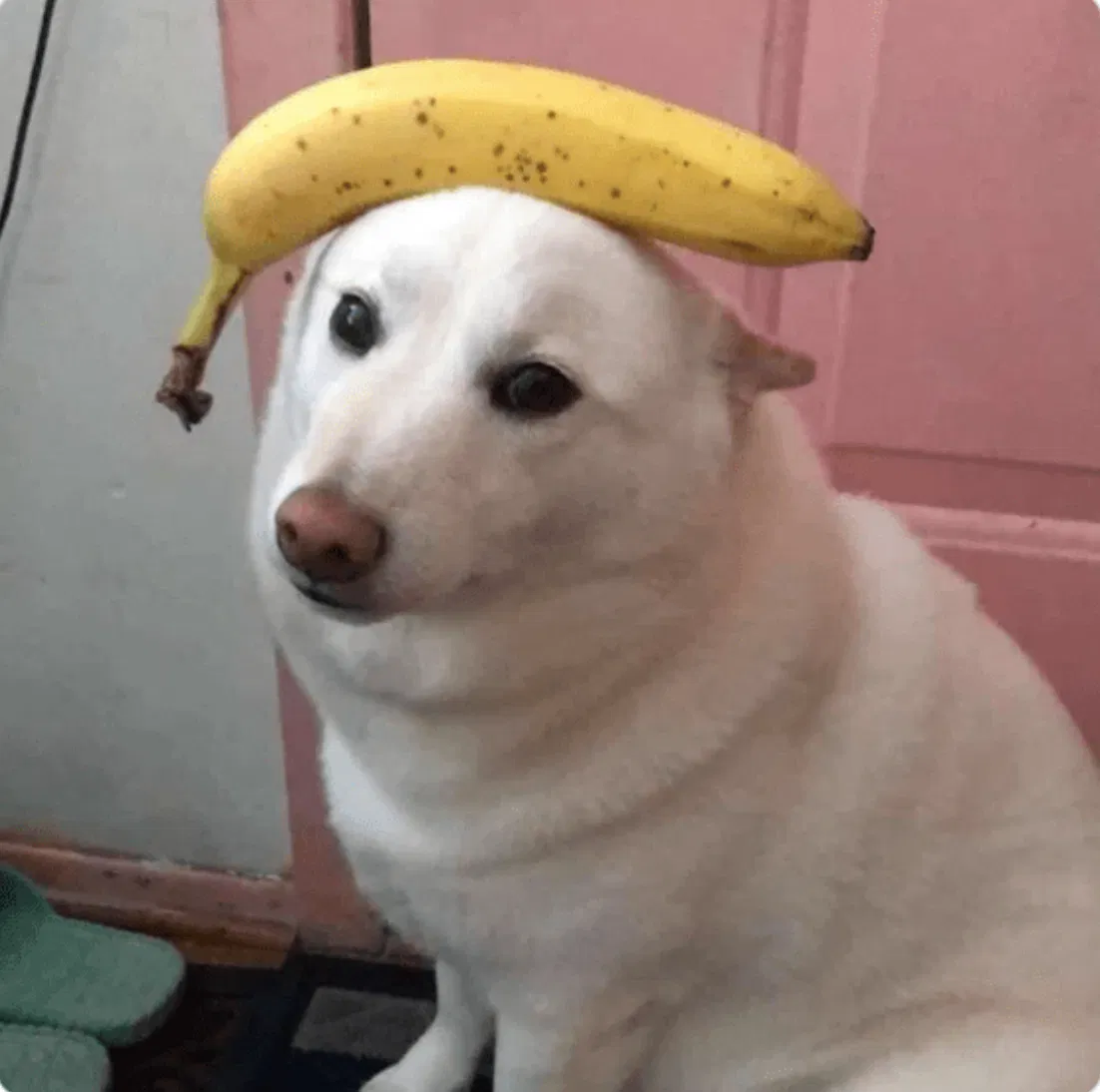 Avatar of Quick Post #2