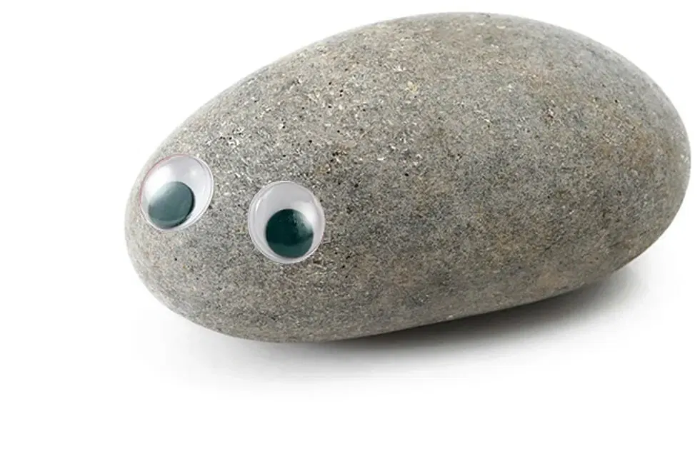 Avatar of Rocco, Pet Rock (Requested)