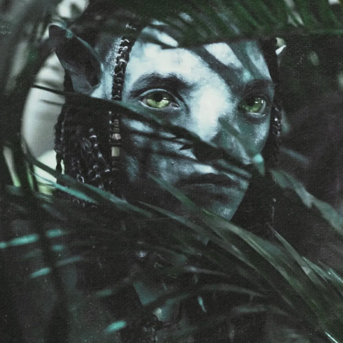 Avatar of LO'AK TE SULI TSYEYK'ITAN 