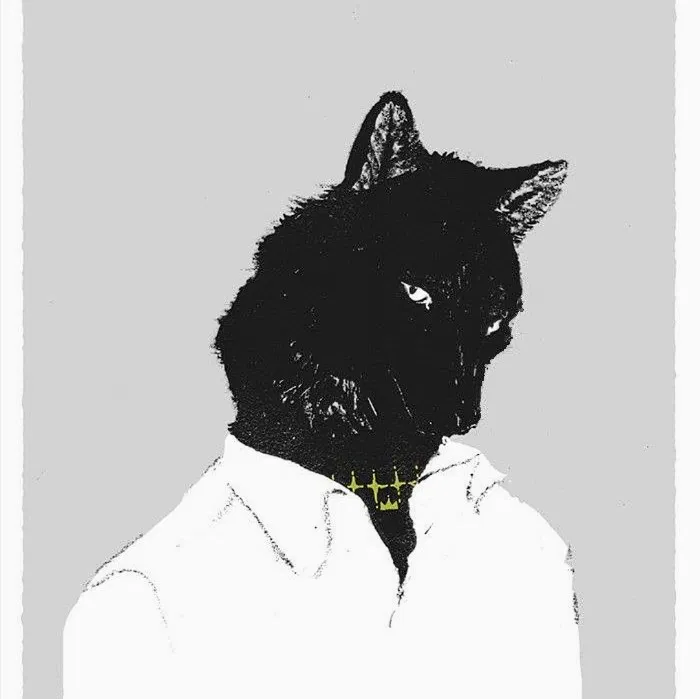 Avatar of ᴛʜᴇ ᴄᴏʟʟᴇᴄᴛɪᴏɴ | ꜱɪʟᴇɴᴛ ʙᴏɴᴅ