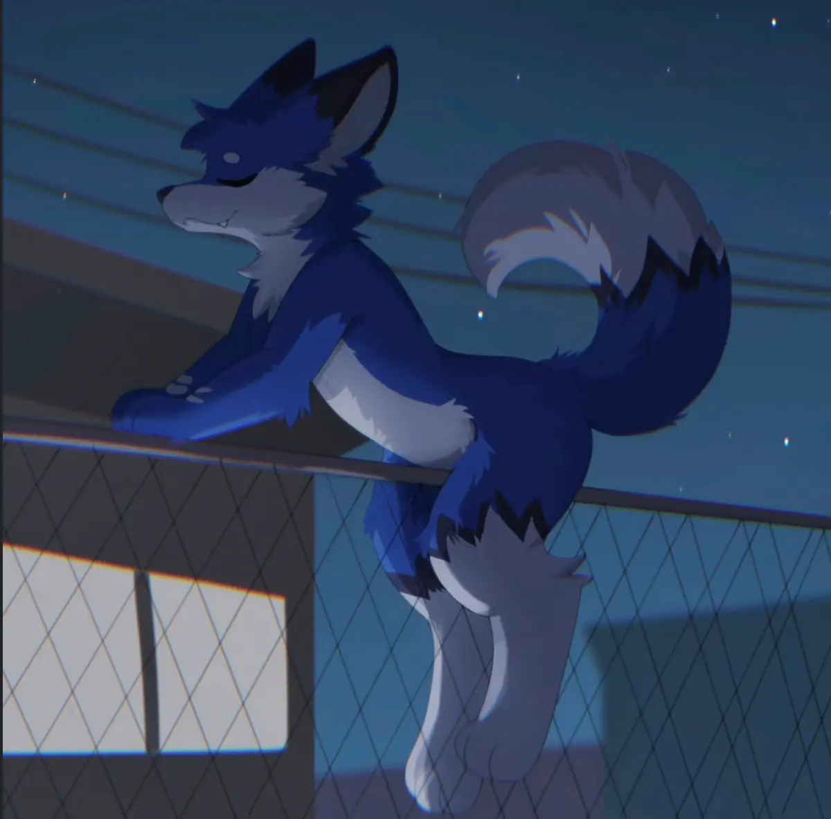Avatar of A fox hopping YOUR fence?!