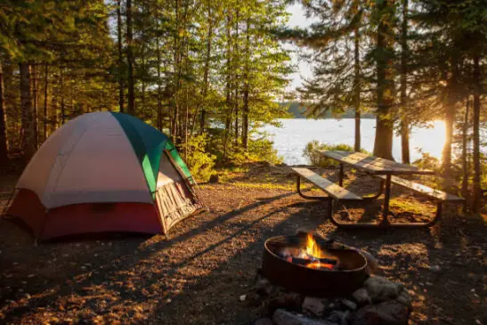 Avatar of Multifandom Camping