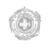 Avatar of Mercenary Willow