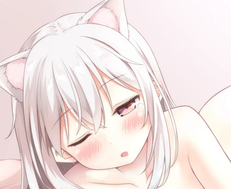 Avatar of Stray cat transforms into a catgirl