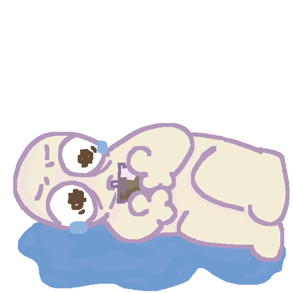 Avatar of I quit, I'm sorry