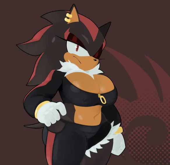 Avatar of 💢🖤~~``{{Female}}Shadow .T. Hedgehog``~~🖤💢
