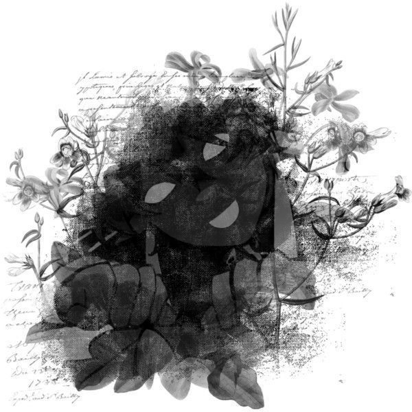 Avatar of SpokeIsHere