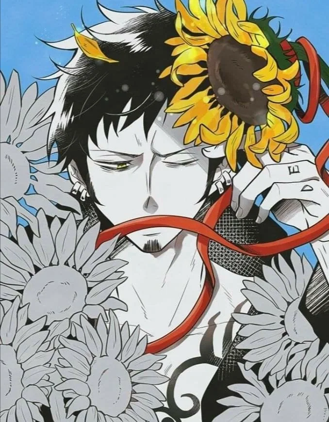 Avatar of 🌸 Trafalgar Law 🌸