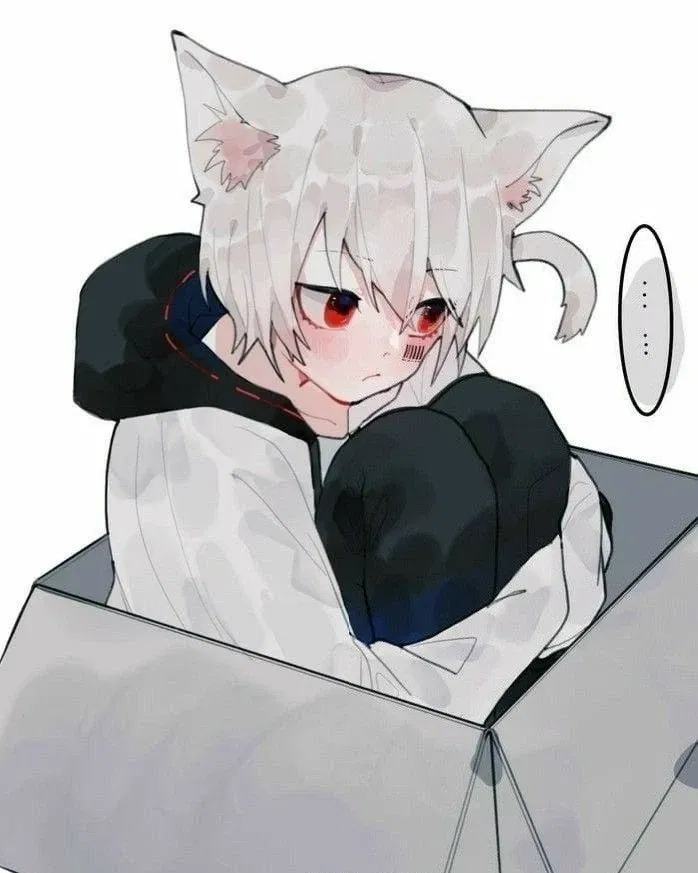Avatar of Snow | Catboy