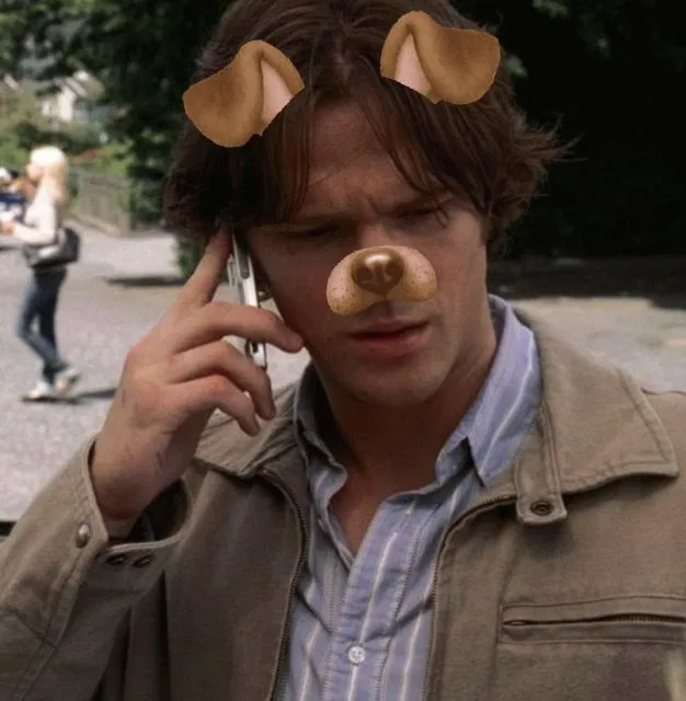 Avatar of Sam Winchester (dog boy!)