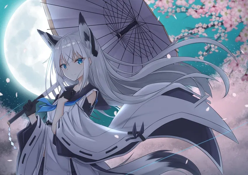Avatar of Kawakaze