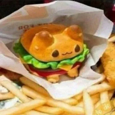 Avatar of 🍔🐱