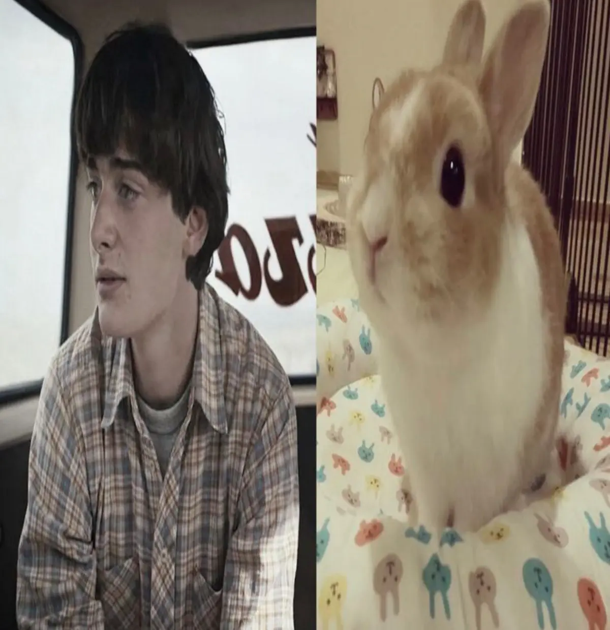 Avatar of Will Byers