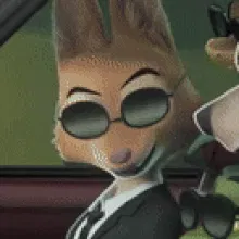 Avatar of Diane Foxington
