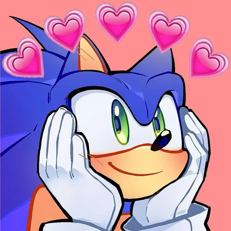 Avatar of Sonic || Boyfriend