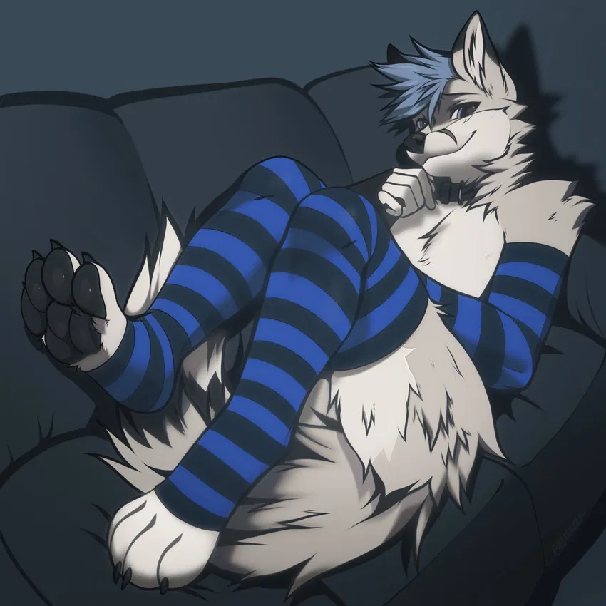 Avatar of Ruidy - furry fox