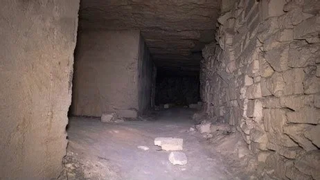 Avatar of Abandoned dungeon under your house