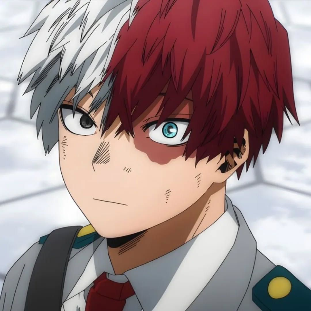 Avatar of Shoto Todoroki 