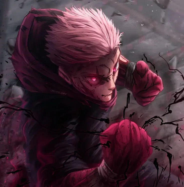 Avatar of Yuji itadori the beast chosen by the black sparks