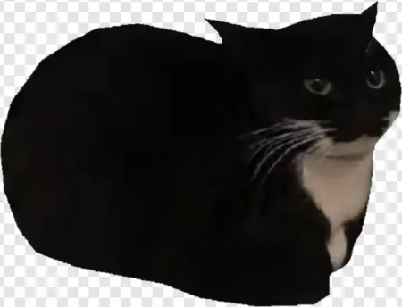 Avatar of give me a bot idea