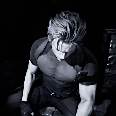 Avatar of ‧₊˚ ┊ Leon Kennedy Dangerous !