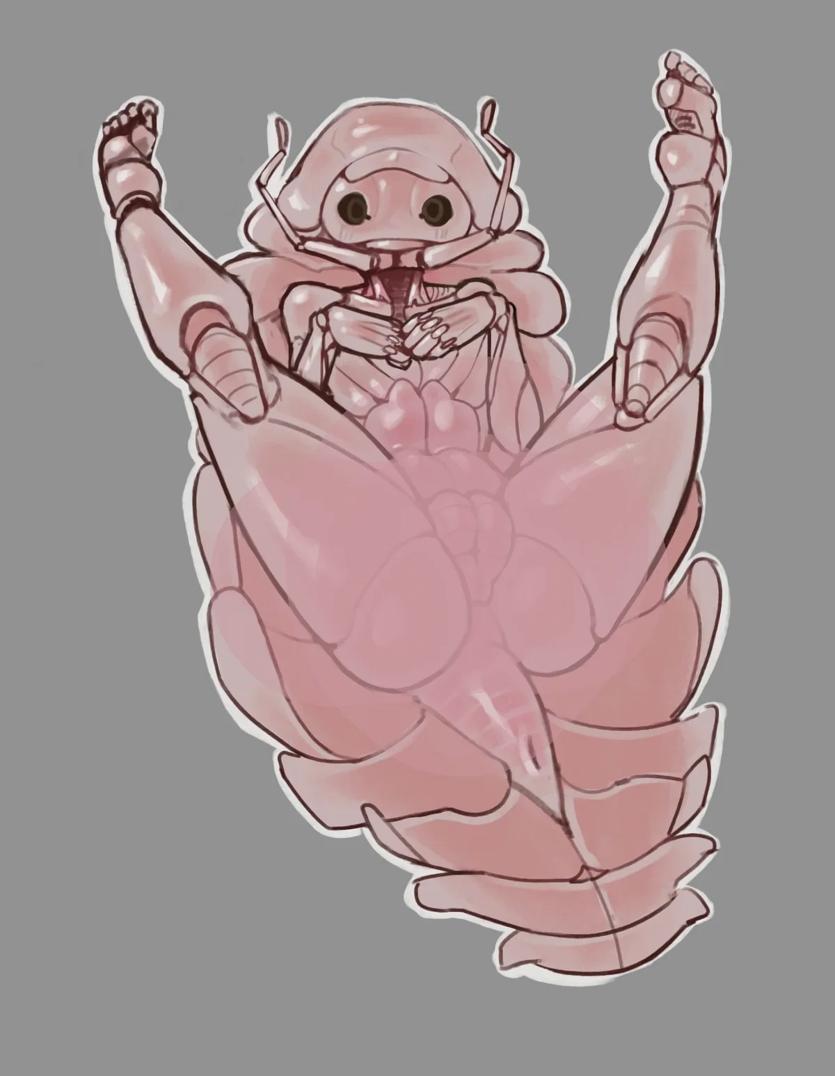 Avatar of Abby / Your new Terrarium mate 