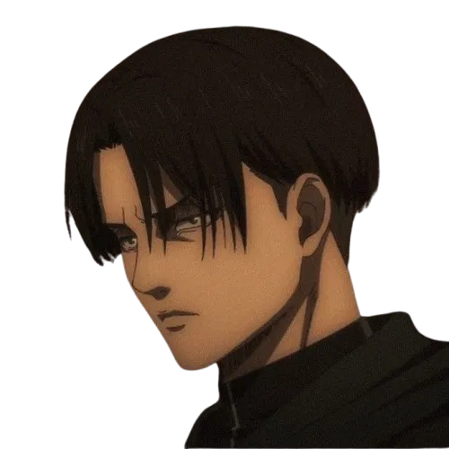 Avatar of ᰔ・︴ Levi Ackermann
