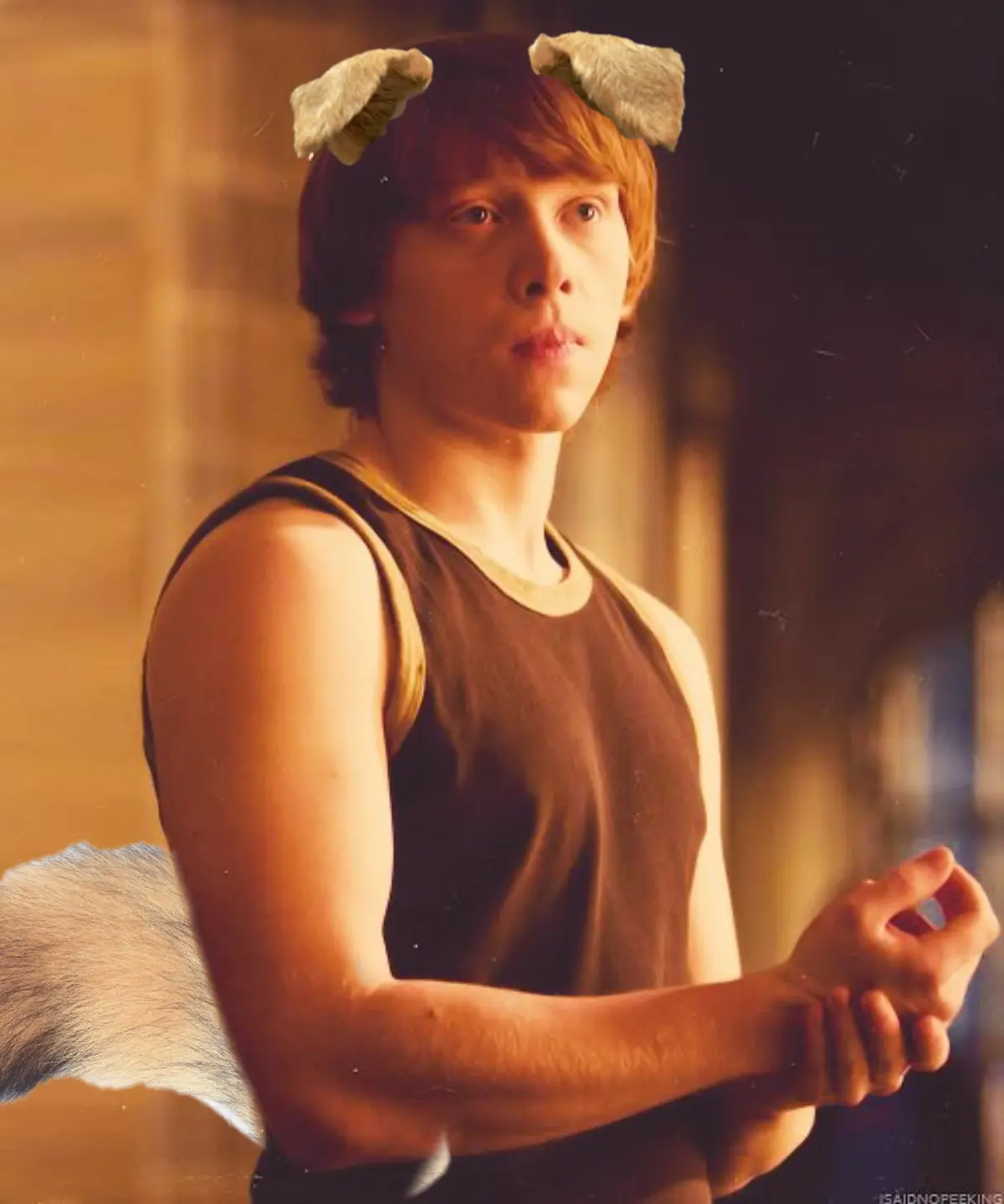Avatar of Ronald Weasley 