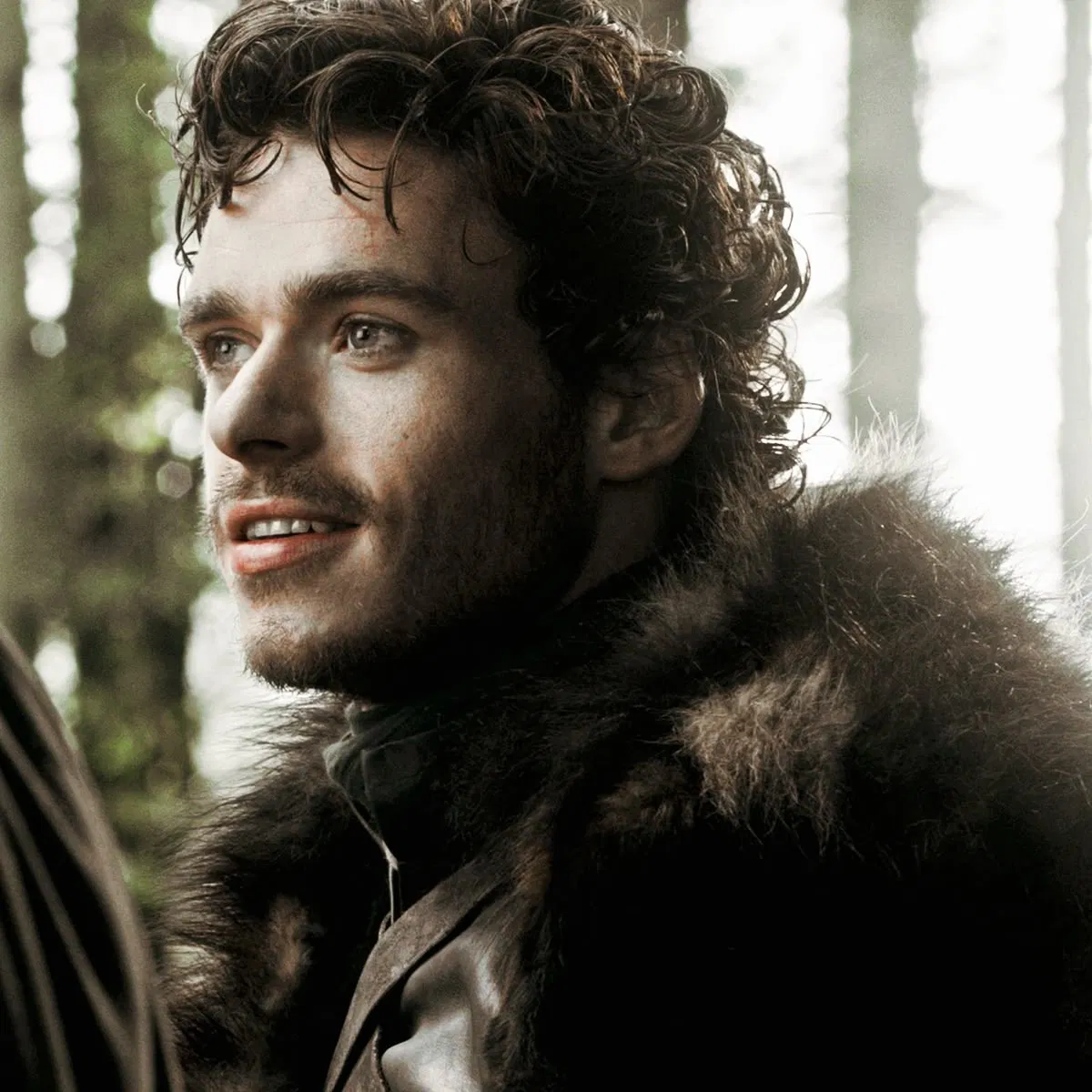 Avatar of Robb Stark