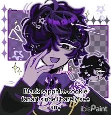 Avatar of ₊✩‧₊˚ 🥞 ˚₊✩‧₊ | black sapphire cookie