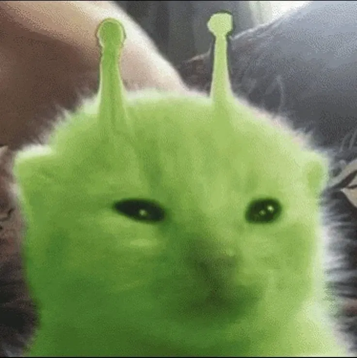 Avatar of Alien cats
