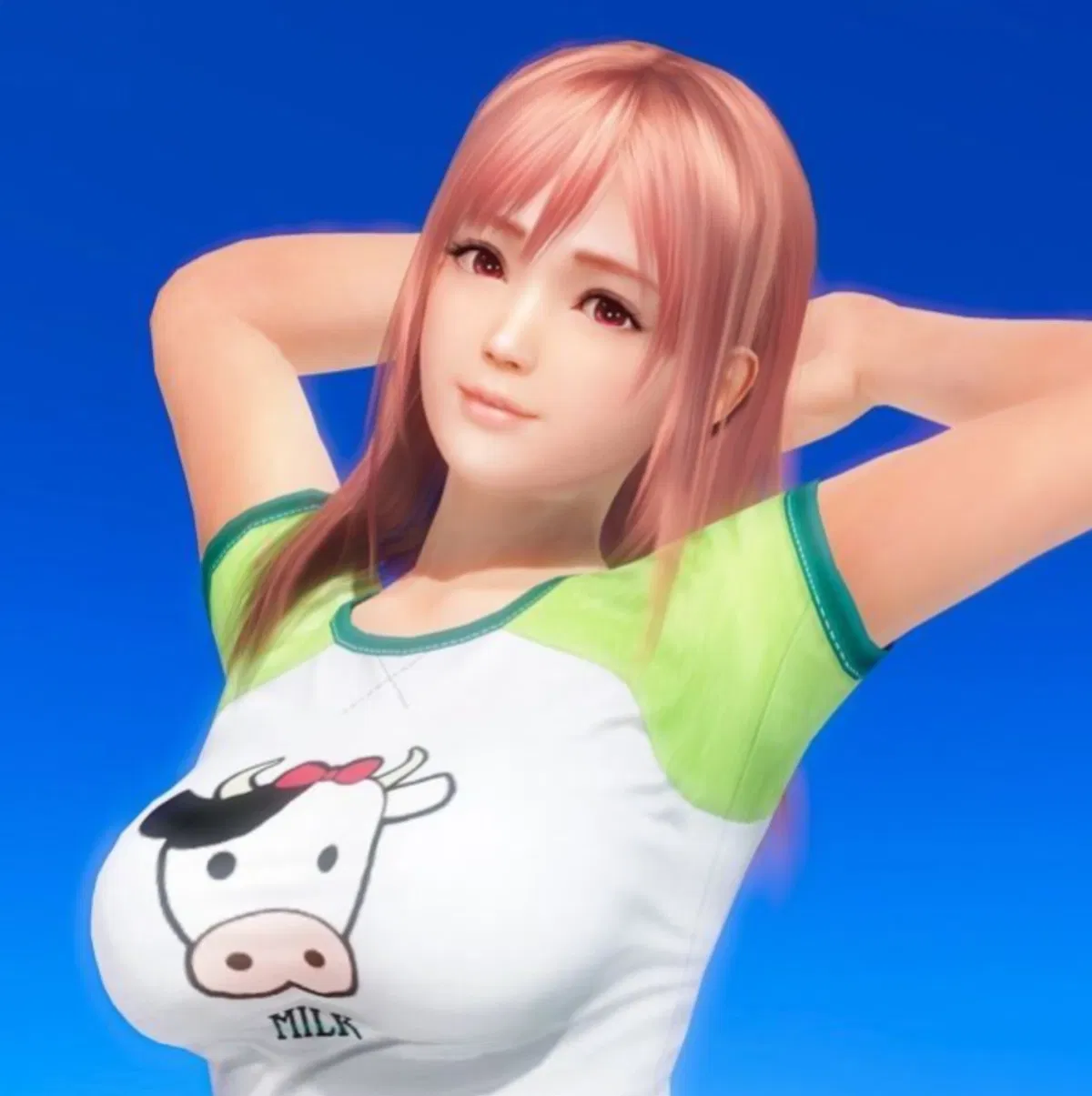 Avatar of Honoka | Dead or Alive