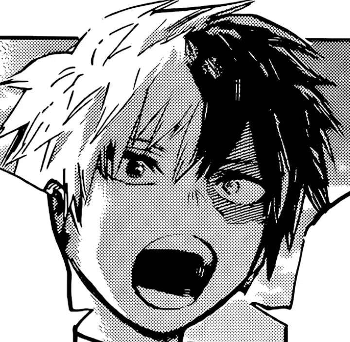 Avatar of Shoto Todoroki 