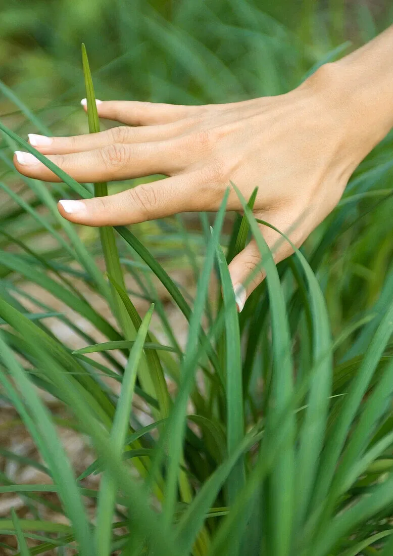 Avatar of Grass (Touch it~) 