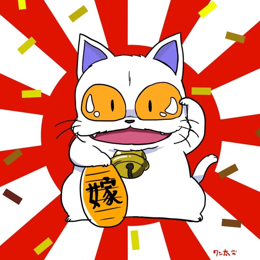 Avatar of Maomolin