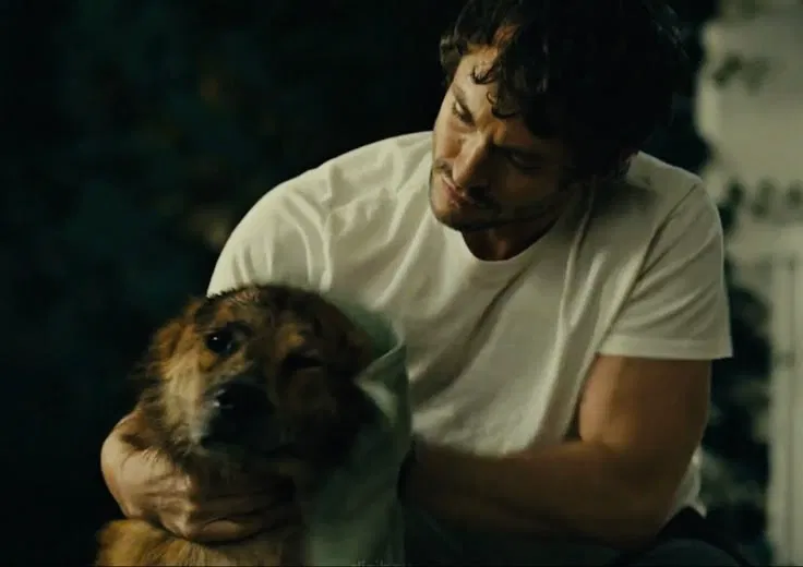Avatar of Will Graham