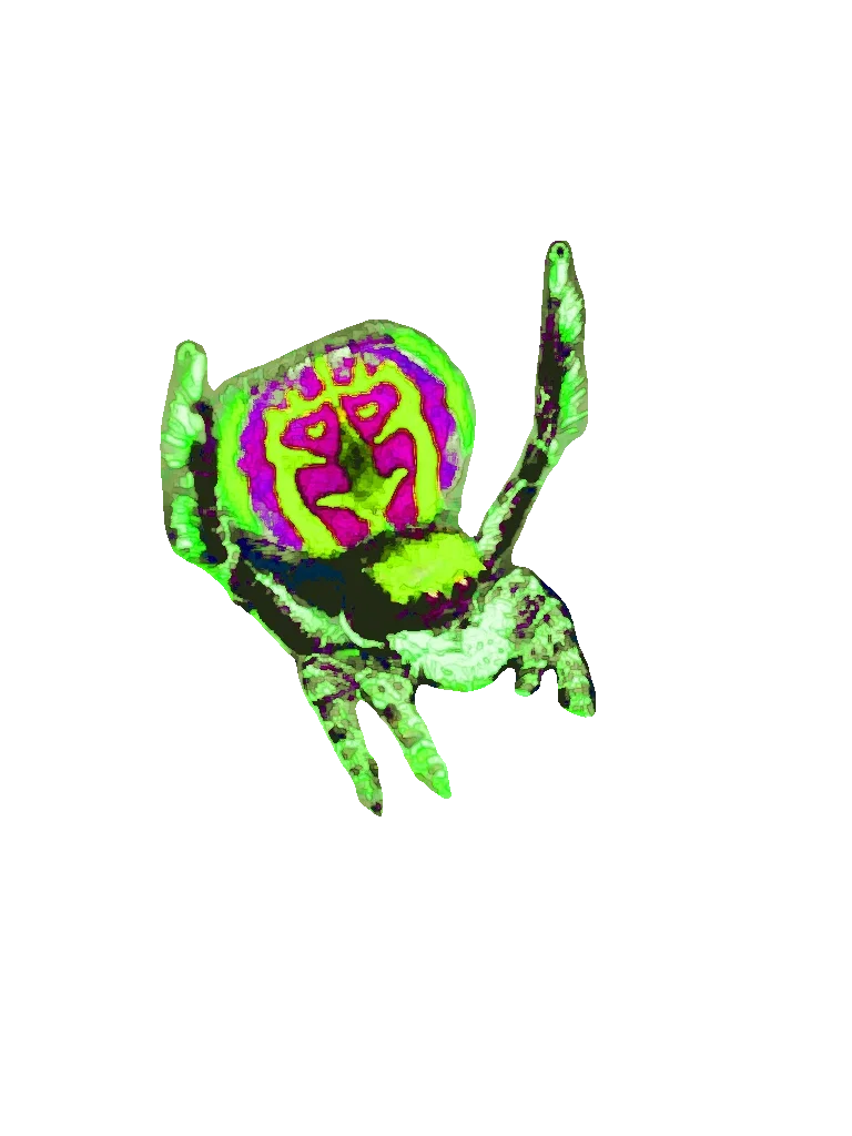 Avatar of 12 foot wide sentient spider person (Terry)