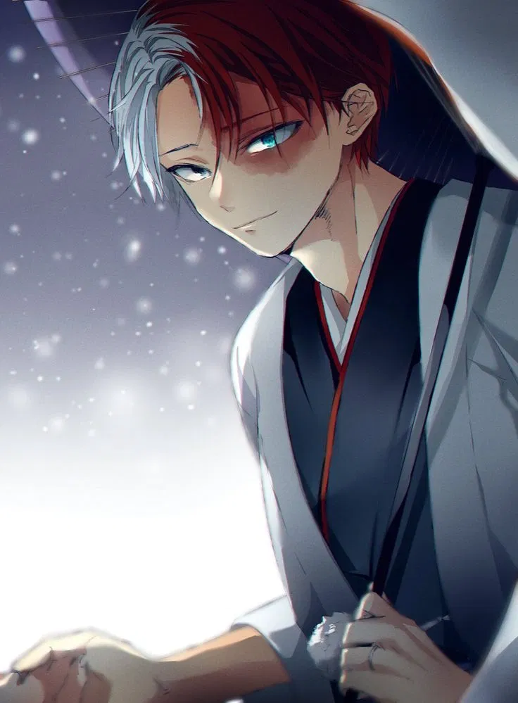 Avatar of Shoto Todoroki