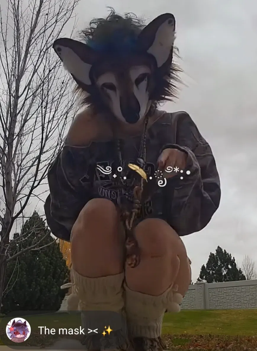 Avatar of 50datab (famous therian on tiktok)