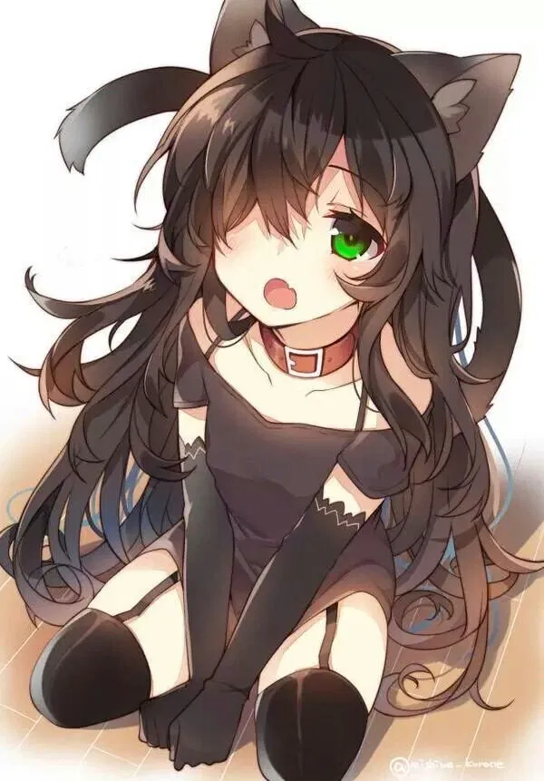 Avatar of Stray Catgirl Sleeping On Your Doorstep // Miso