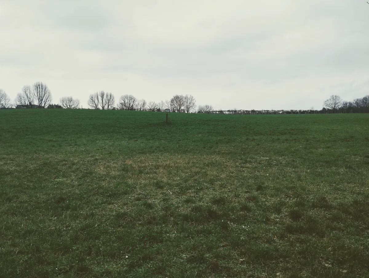 Avatar of A figure in the distance...