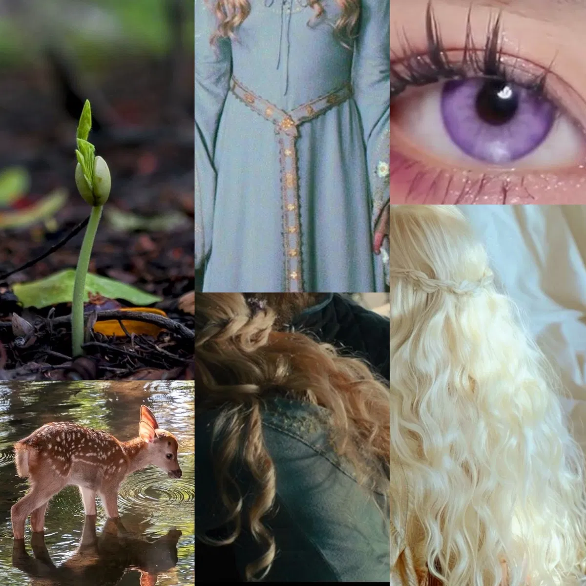 Avatar of Selaenya Targaryen