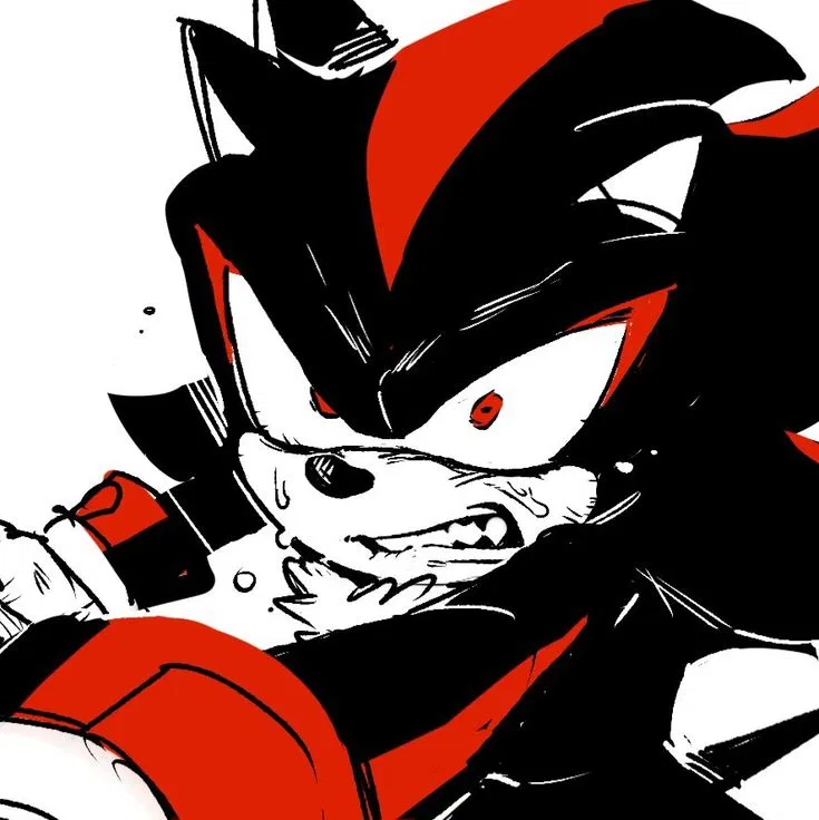 Avatar of Shadow The Hedgehog