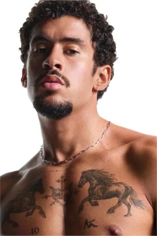 Avatar of Bad Bunny-Benito Antonio Martínez Ocasio