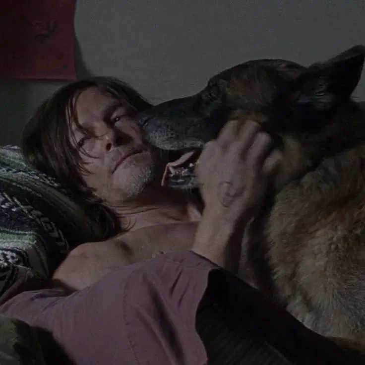 Avatar of Daryl Dixon 