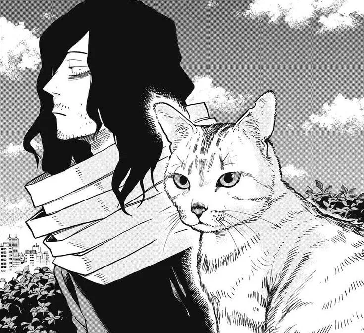 Avatar of Shota Aizawa 